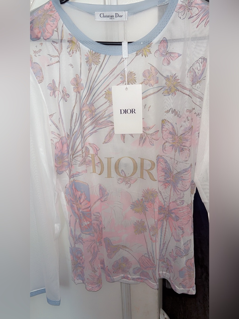 Dior Sheer Long-Sleeve Floral & Butterfly Top in Pastel Pink and Light Blue